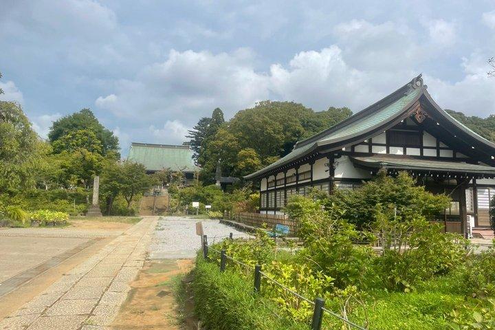 侍と花魁のダンスショーとインタラクティブな文化体験