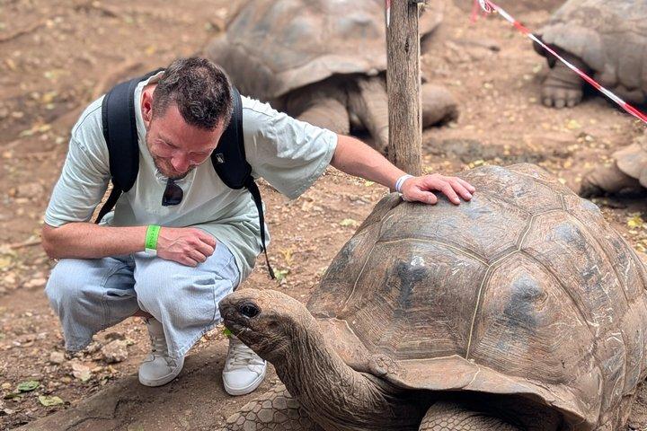 Stone Town & Prison Island Tour with Giant Tortoises