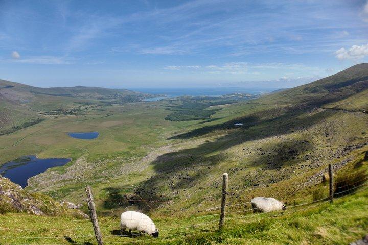 Excursión privada de día completo a Dingle Peninsula y Slea Head