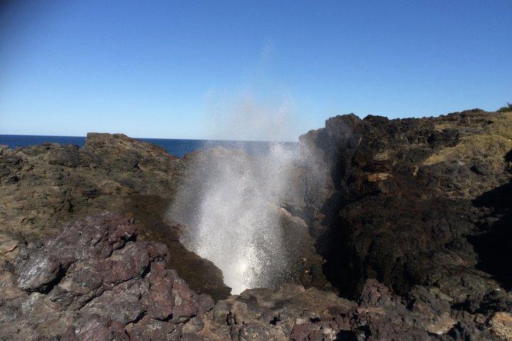 シドニーサウスコースト日帰りツアーワイルドライフ、キアマ・ブローホール、ゲリンゴン