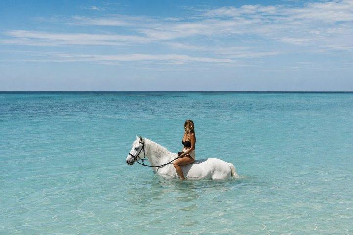 Bahamas Nassau Beach Horseback Ride with Sea Dip and Photos