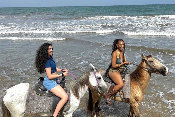 East Coast Horseback ridning og rum smagsoplevelse