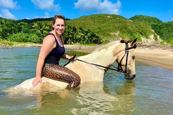 East Coast Horseback ridning og rum smagsoplevelse
