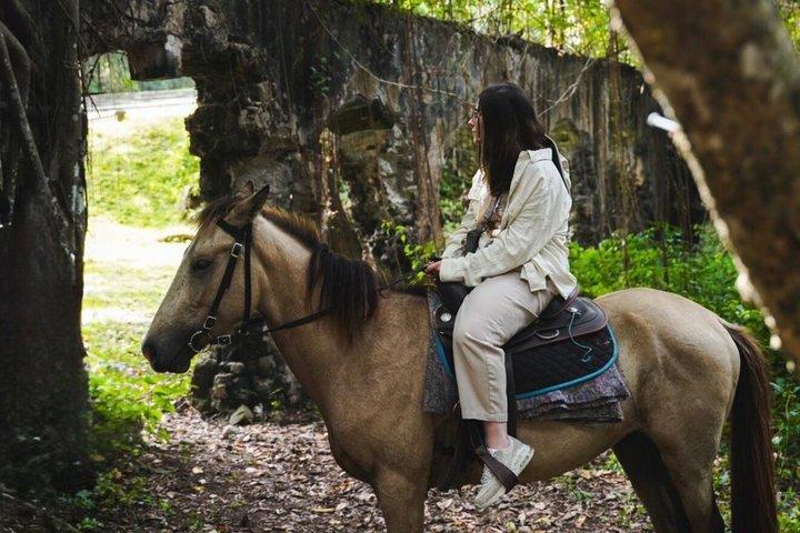 East Coast Horseback ridning og rum smagsoplevelse