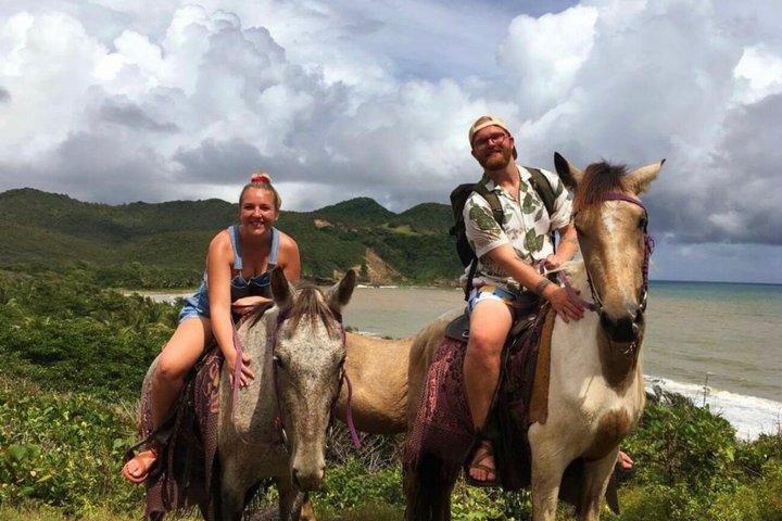 East Coast Horseback ridning og rum smagsoplevelse