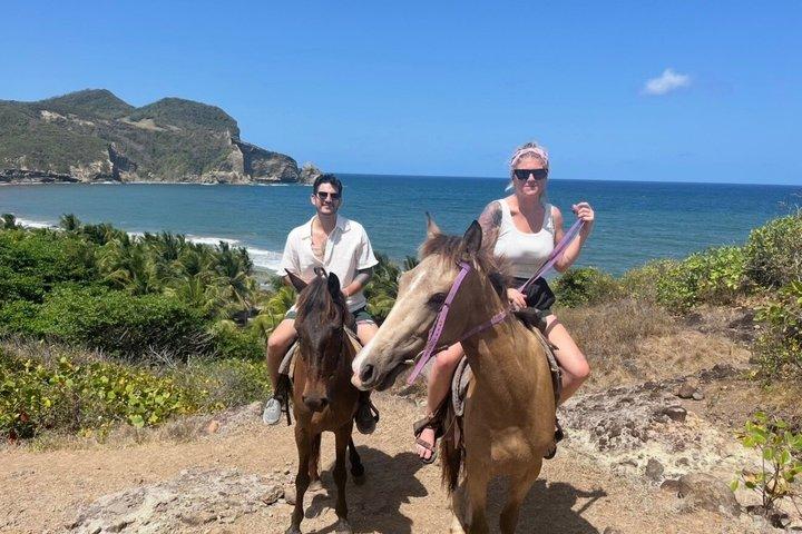 East Coast Horseback ridning og rum smagsoplevelse