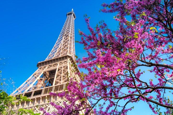 Det bästa av Paris guidad halvdags stadsrundtur med en lokal