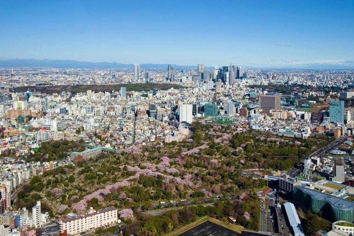 六本木ヒルズの東京シティビュー展望台チケット