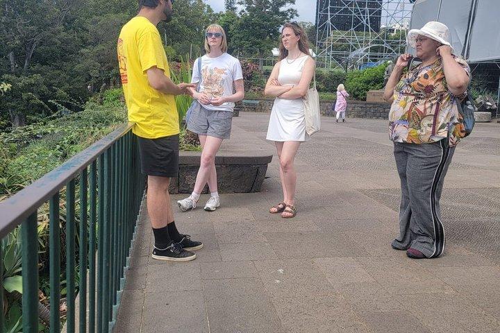 Funchal Walking Tour: History & Culture