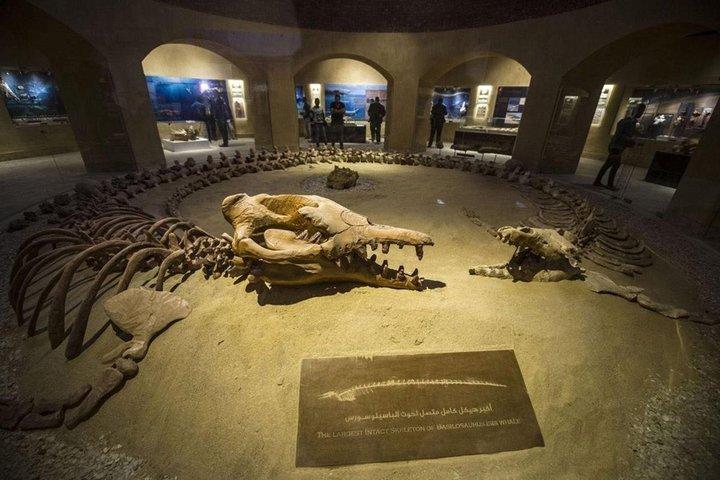 プライベートファヨーム日帰り旅行 ウールバレーとワディ・エル・ライアン