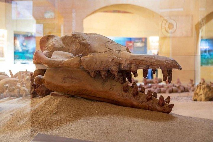 プライベートファヨーム日帰り旅行 ウールバレーとワディ・エル・ライアン