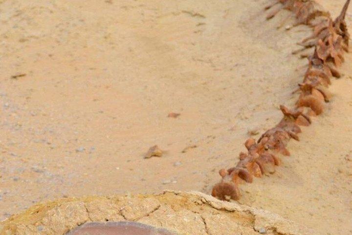 プライベートファヨーム日帰り旅行 ウールバレーとワディ・エル・ライアン