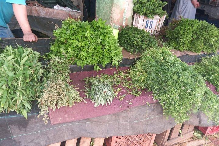 Tiout Taroudant Private Tour Check-out from Agadir