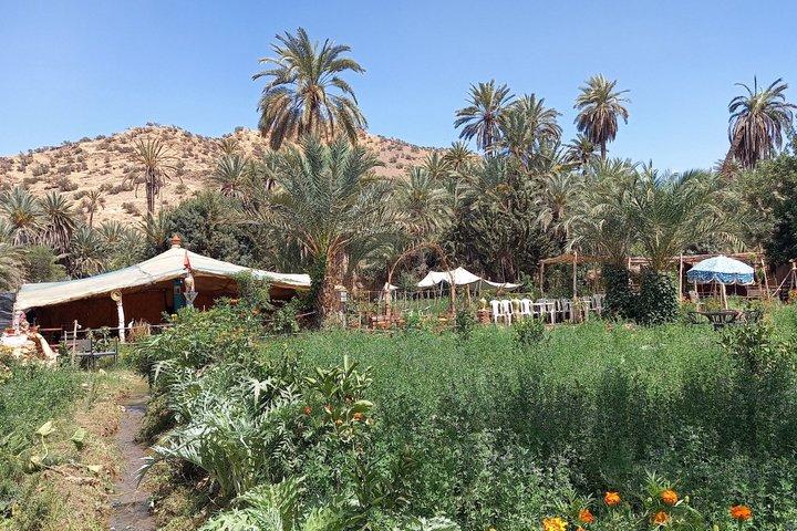 Tiout Taroudant Private Tour Check-out from Agadir