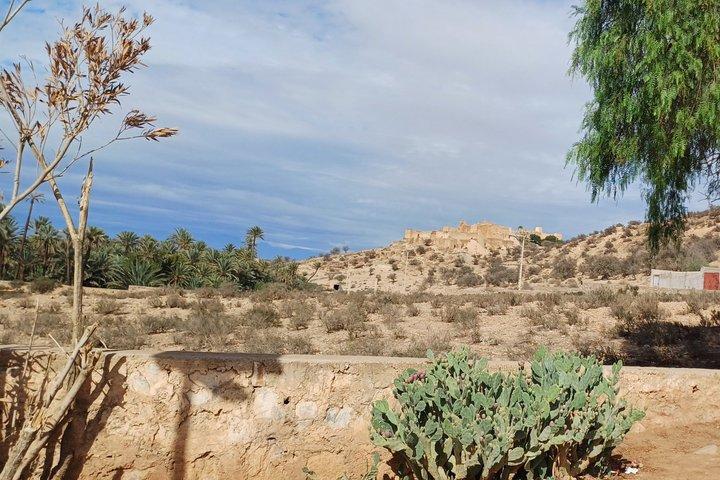 Tiout Taroudant Private Tour Check-out from Agadir