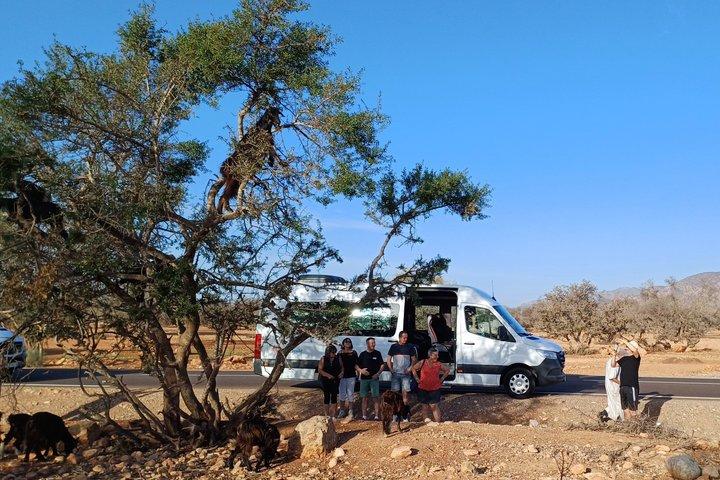 Tiout Taroudant Private Tour Check-out from Agadir