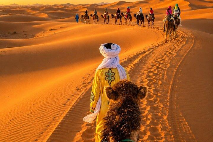 From Merzouga: Sunset Camel Trek & Sandboarding Adventure.