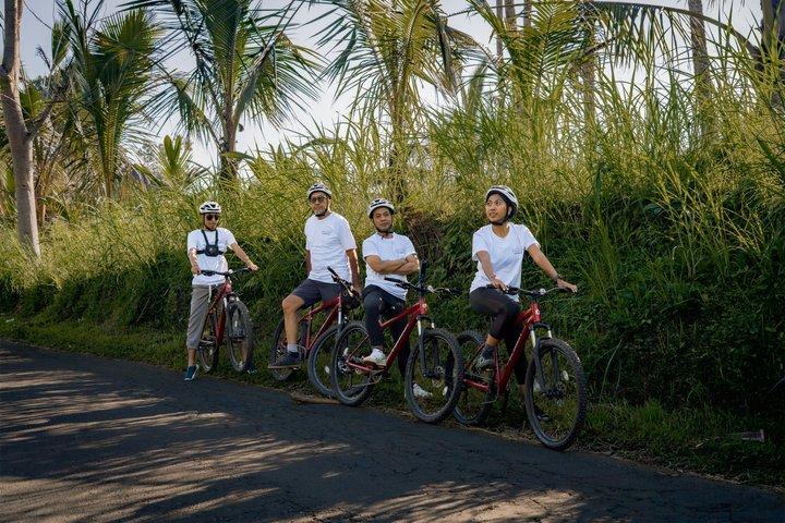 Ciclismo in discesa a Bali: Foresta di bambù, risaie e campagna