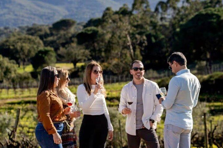 Esperienza di Vendemmia con Pranzo a Lisbona
