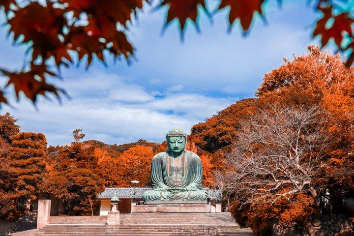 東急鎌倉江の島・横浜日帰り旅行（江ノ電利用）