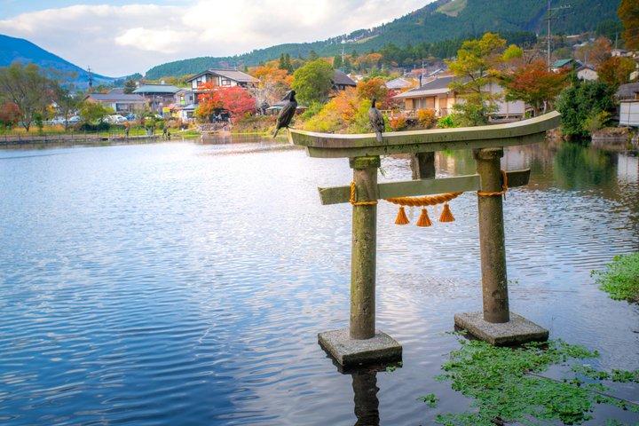 福岡からの由布院、別府、酒蔵、または太宰府天満宮日帰り旅行