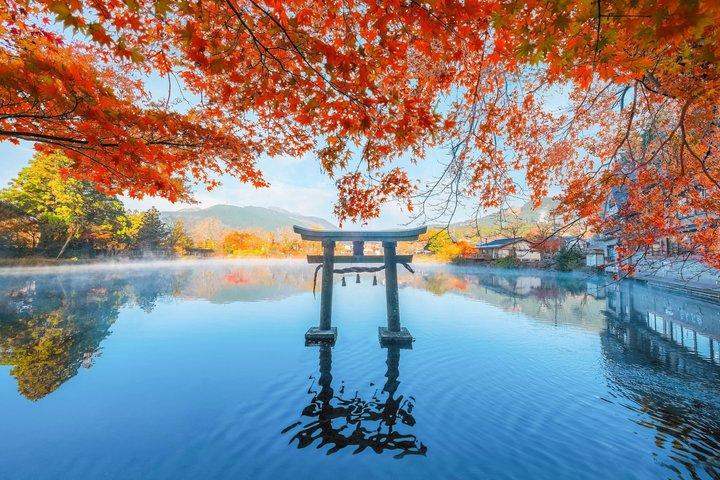 福岡からの由布院、別府、酒蔵、または太宰府天満宮日帰り旅行