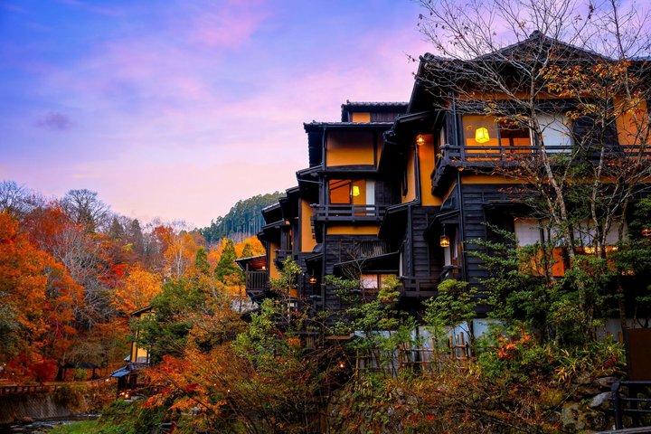 阿蘇山、高千穂峡、または黒川温泉からの福岡日帰り旅行