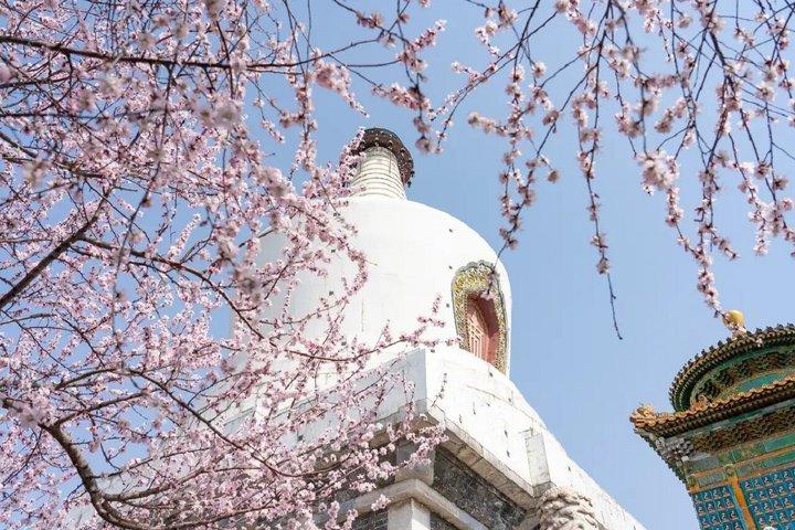 Beihai Park Entry Ticket with Digital English Guide