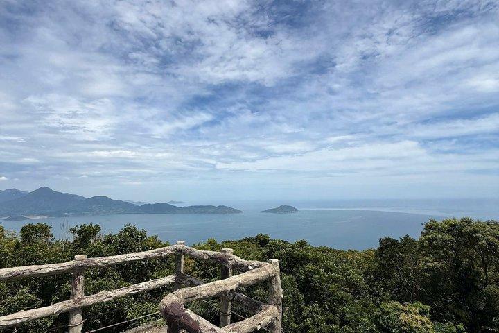 ダナン：プライベートソントラ半島半日車旅行