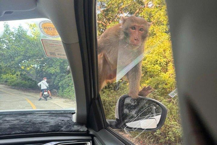 ダナン：プライベートソントラ半島半日車旅行