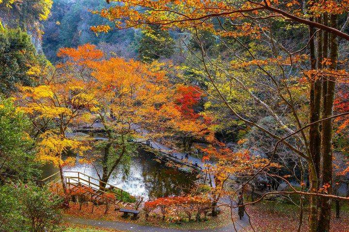 阿蘇山、高千穂峡、または黒川温泉からの福岡日帰り旅行