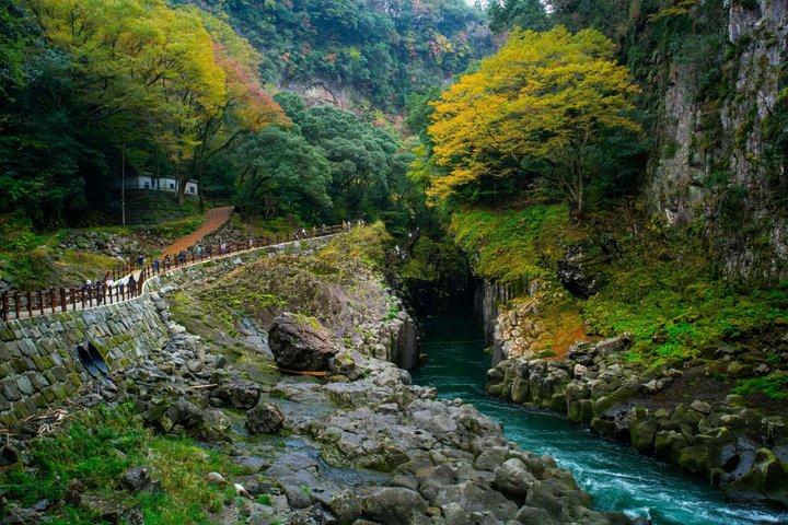 阿蘇山、高千穂峡、または黒川温泉からの福岡日帰り旅行