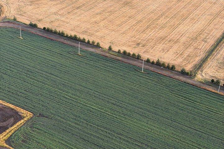 Balloon flight and pick up CDMX and Breakfast Buffet