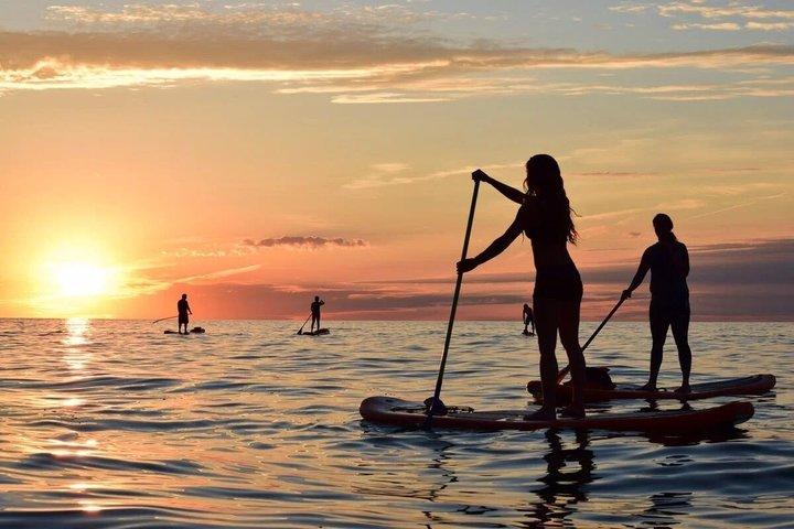 Paddle surfing with snorkeling in Palm-Mar Dolphins and Turtles