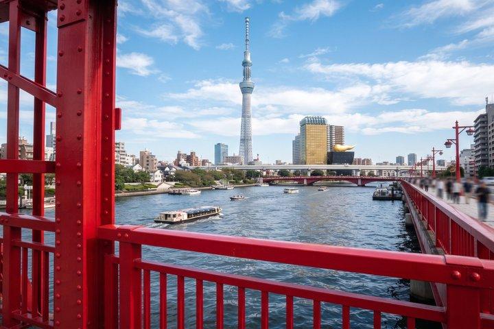 東京プライベートツアー：チームラボプラネッツ＆浅草
