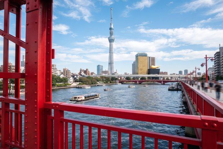 東京プライベートツアー：チームラボプラネッツ＆浅草