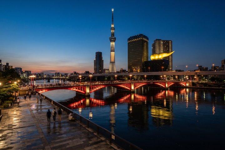 東京プライベートツアー：チームラボプラネッツ＆浅草