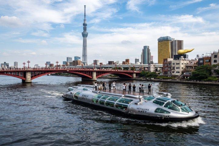 東京プライベートツアー：チームラボプラネッツ＆浅草