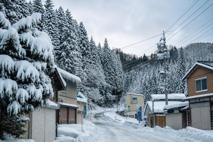 東京から越後、長野へのプライベートトランスファー