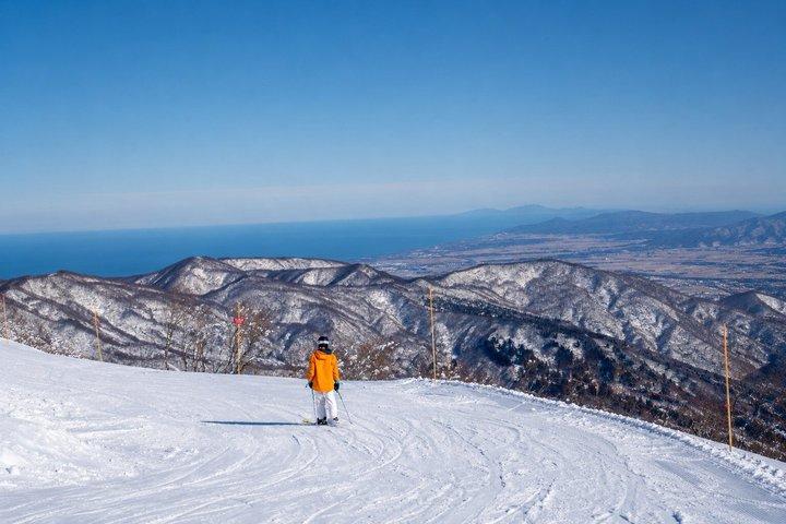 東京から越後、長野へのプライベートトランスファー