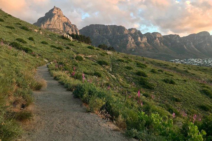Cape Town Lions Head og Table Mountain Guidede Vandringer