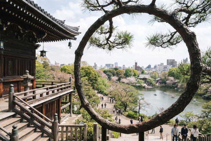 東京：上野公園、東照宮＆アメ横フードウォーク