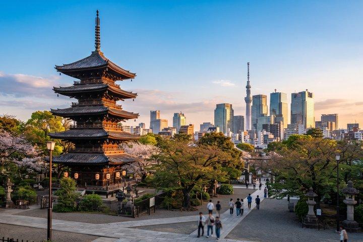 東京：上野公園、東照宮＆アメ横フードウォーク