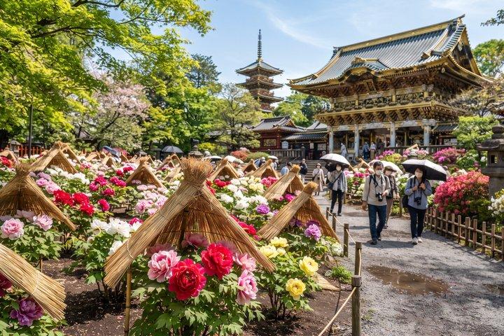 東京：上野公園、東照宮＆アメ横フードウォーク