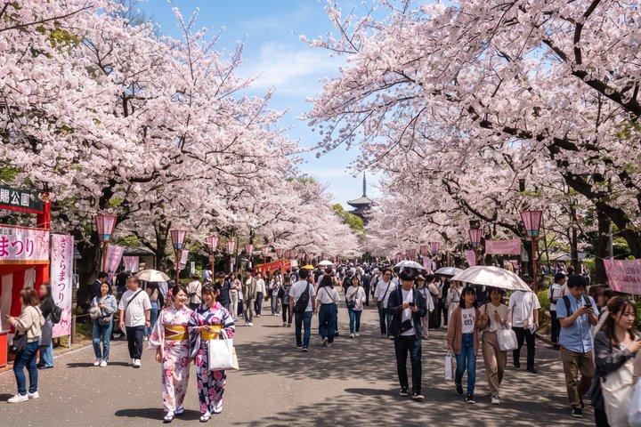 東京：上野公園、東照宮＆アメ横フードウォーク