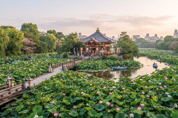 Tokyo Half Day Walking Tour from Ueno Park to Ameyoko Market