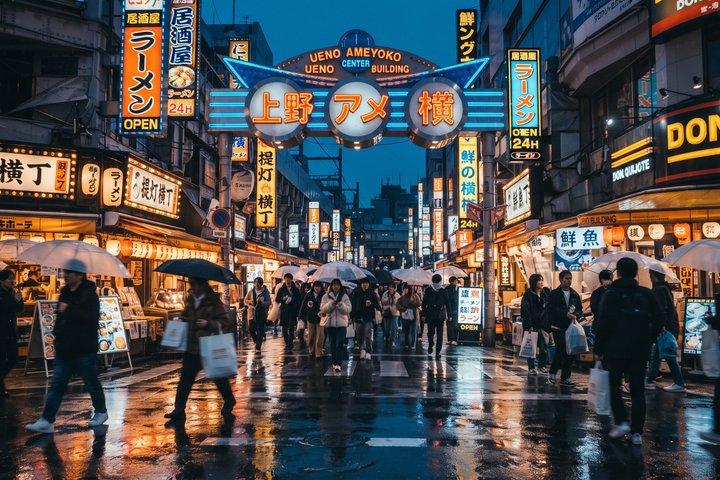 東京：上野公園、東照宮＆アメ横フードウォーク