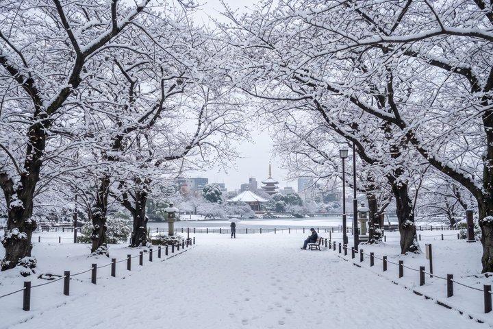 東京：上野公園、東照宮＆アメ横フードウォーク