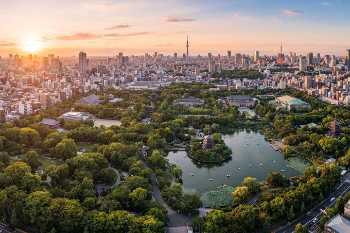 東京：上野公園、東照宮＆アメ横フードウォーク