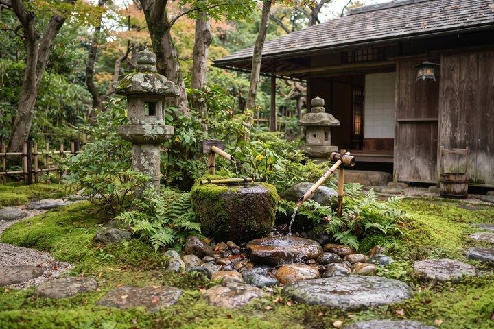 東京：上野公園、東照宮＆アメ横フードウォーク